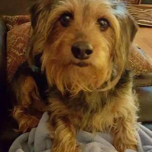 Meet your Posher, Holly